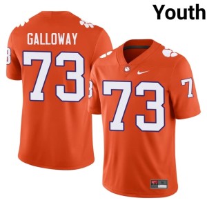 Orange Alumni Hayes Galloway #73 College Football Youth Clemson Tigers Jersey 790396-215