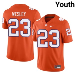 Orange Limited College Football C.J. Wesley Youth #23 Tiger Town Jersey 153298-732
